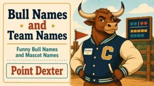 Bull Names and Team Names
