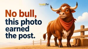 Bull Pun Captions for Instagram