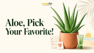 Editor Picks by Use Case