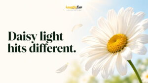 Editor Picks: Best Daisy Puns by Use