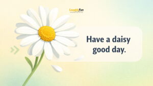201 Best Daisy Puns, Jokes, Captions, and Quotes for Instagram, Cards, and Cute Spring Posts