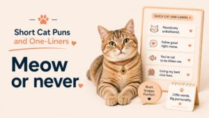 Short Cat Puns and One-Liners