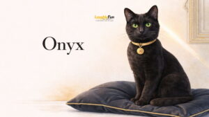 Quick Practical Name Shortlists