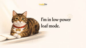 Best Cat Puns Overall