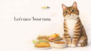 Cat Food Puns