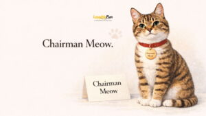 Punny Cat Names for Real Life