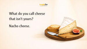 Cheese Jokes and Q&A Lines