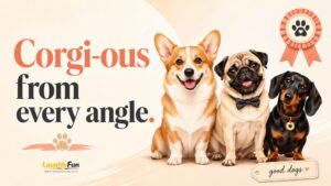 Breed-Specific Dog Puns