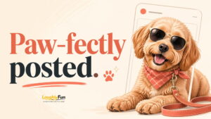 Dog Puns for Captions