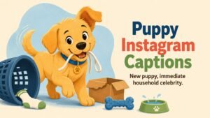 Puppy Instagram Captions