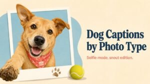 Dog Captions by Photo Type