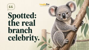 Zoo and Wildlife Koala Captions