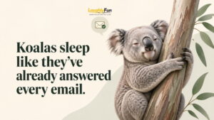 Behavior-Based Koala Humor