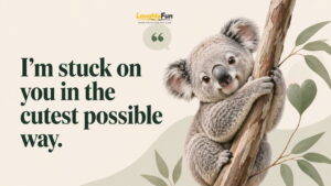 Love and Flirty Koala Lines