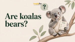 FAQs About Koala Puns