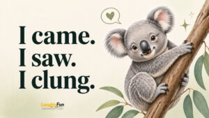 Top 25 Best Koala Puns