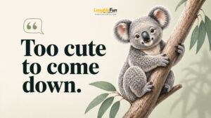 Simple Koala Captions