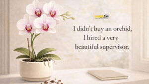 Funny Orchid One-Liners for Read-Aloud Laughs