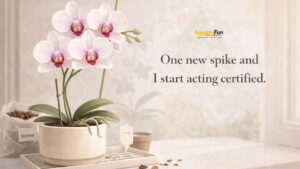 Orchid Puns for Plant Parents and Gardeners