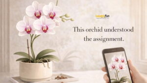 Orchid Captions for Social Posts and Photos