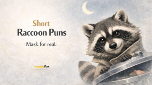 Short Raccoon Puns