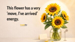 Funny Sunflower Puns