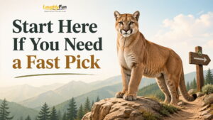 Start Here If You Need a Fast Pick