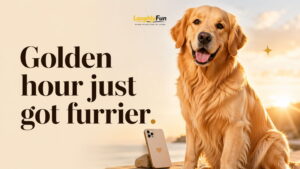 Golden Retriever Captions for Instagram and Everyday Posts