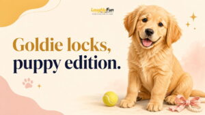 Golden Retriever Puppy Puns