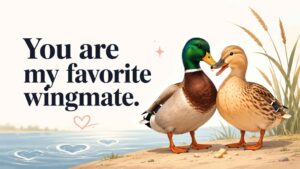 Love and Friendship Duck Puns