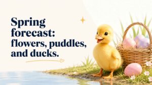 Easter, Spring, and Baby Duck Card Lines