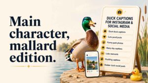 Duck Captions for Instagram and Social Media