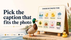 Duck Captions by Photo Type