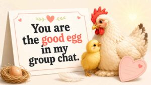 Love and Friendship Chicken Puns