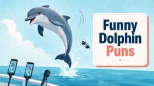 Funny Dolphin Puns