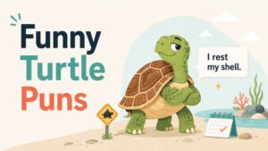 Funny Turtle Puns