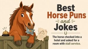 Best Horse Puns and Jokes